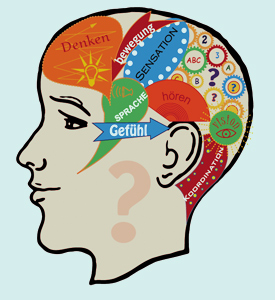 Areale im Kopf fr die Steuerung von Denken, Bewegung, Sprache, Gefhl, Koordination, Hren, Visionen etc.